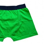 underwear history4