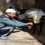 goatmilk1