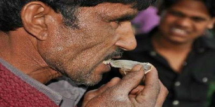 Men Eats Lizard,Lizard,Madhya pradesh,1