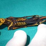 three-unsolved-mysteries-of-the-world-which-remain-a-mystery1