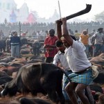 animal-sacrifices