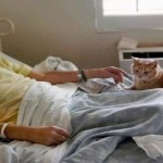 cat near death 1