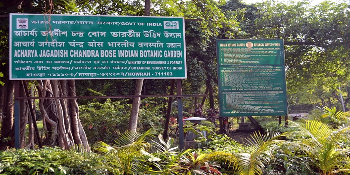 botanical-gardens1