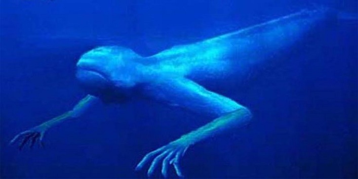 समुद्र से निकले एलियन जैसे जीव, दुनिया में फैली सनसनी