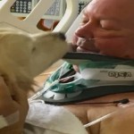 dog-saved-life-of-owner