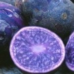 purple-potato