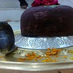 shiv2