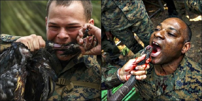 यहां पर सैनिकों को पीना पड़ता है जहरीले कोबरा का खून