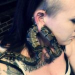 snake