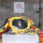 snake-entered-temple-and-worshiped