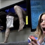 television screen in this prank