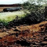 tollund man death1