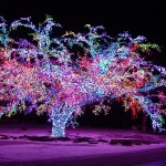 tree-light