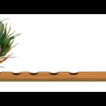 flute