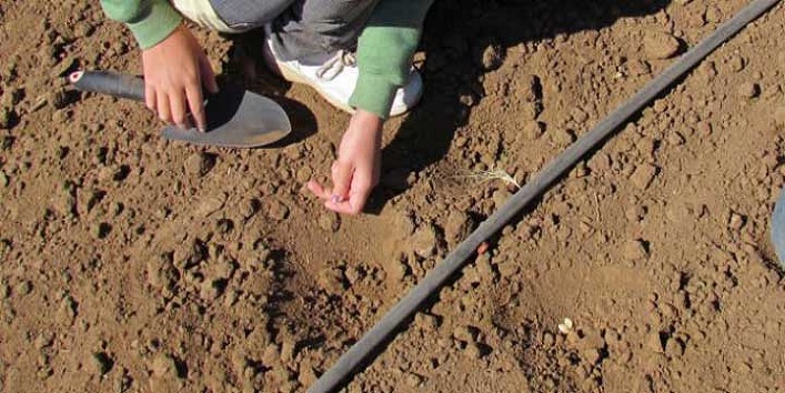 मिट्टी बनाए मालामाल – मात्र मिट्टी रखने से चमक जाएगी आपकी किस्मत, जानें कैसे