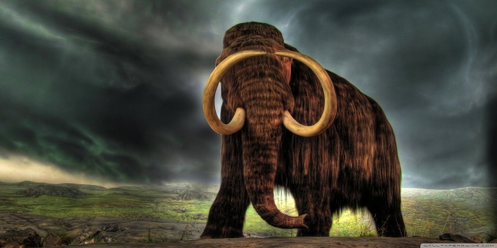 विलुप्त हुए प्राचीन हाथी Woolly Mammoth, चार हजार वर्ष बाद आ रहें हैं फिर से