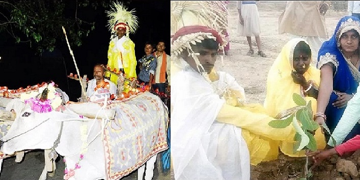 ग्रीन मैरिज – पर्यावरण दिवस पर पर हुई “हरीभरी शादी”, वर-वधू ने किया वृक्षारोपण