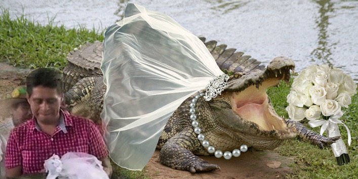 Mayor of the city marries a crocodile and throws party