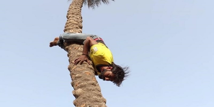 This man climbs the tree in reverse direction cover