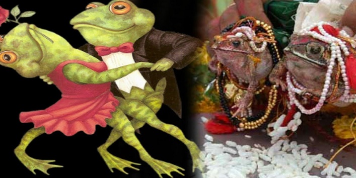 here is why male and female frog get married and it is called bekhuli biyah cover