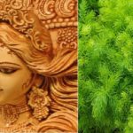 This medicine considered as the ninth form of goddess durga cures various diseases
