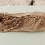 scientists found 5000 years old shoes