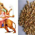 this medicine considered as the sixth form of goddess durga