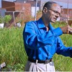 Kishnappa Gowda turned his terrace into a rice paddy