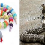 online company send the real snake instead of snake toy cover