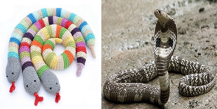 online company send the real snake instead of snake toy cover