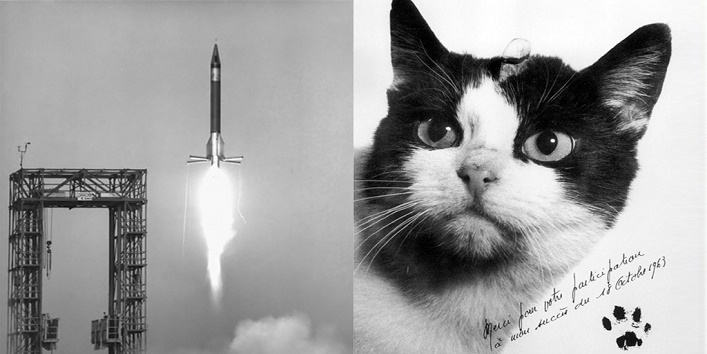 this cat once traveled to space and now a statue to be built in france 1