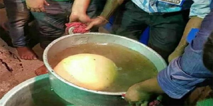 World's biggest bengali rasgulla that weighs 9kg cover