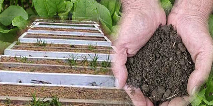 Benefits of soil that will resolve all the issues with your life cover