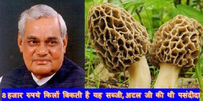 PM Atal Bihari Vajpayee's favorite veggie that is worth 8000 rupee per kg cover