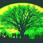 greeen moon