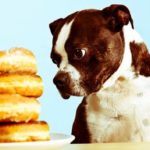 Dogs 2