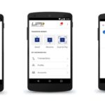 Government app 2