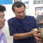 cock cover