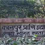 kanpur cpover