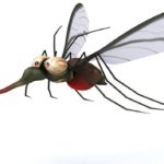 mosquito 2