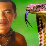 snakes 1