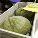 melons 1