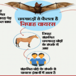 nipuh 1
