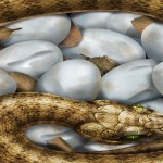 snake eggs