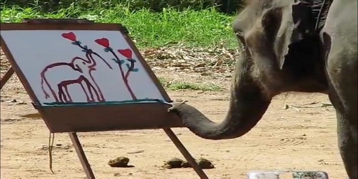 हाथी की सूढ़ में छिपा कला का अद्भुत चमत्कार