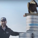 hawk-23-05-2016-1463971666_storyimage