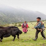 drokpa tribe,Ladakh,Jammu and Kashmir,Kashmir ,tribes,Women with Multiple Husbands,Bhutan,