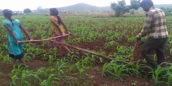 farmer makes fields plough with their daughters