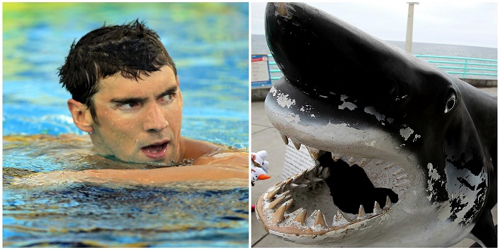 michael phelps swims with the shark cover