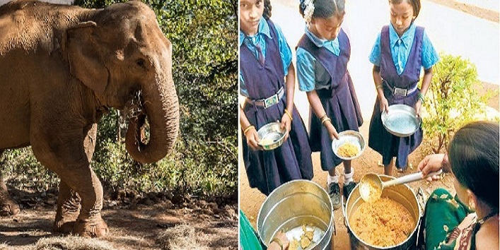 Mid-day meal for kids eaten by elephants, Kids left hungry